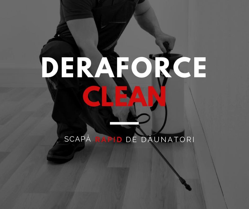 Dera Force Clean